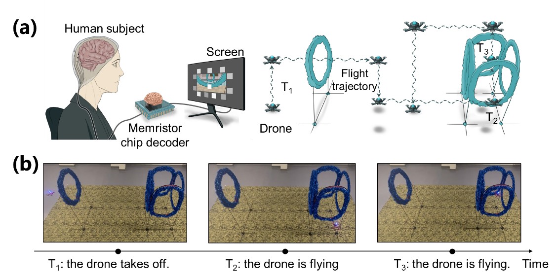 20250217-NE脑机接口-集成电路学院-图3.基于忆阻器芯片脑电解码的实时脑控无人机飞行.jpg