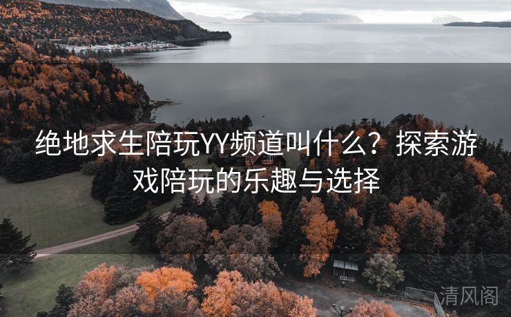 绝地求生陪玩YY频道叫什么？探索游戏陪玩乐趣与选择  第1张