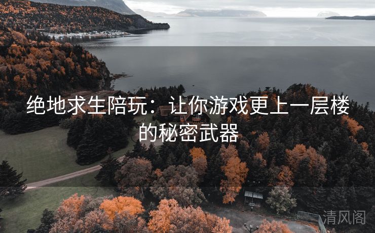 绝地求生陪玩：让你游戏更上一层楼秘密武器  第3张