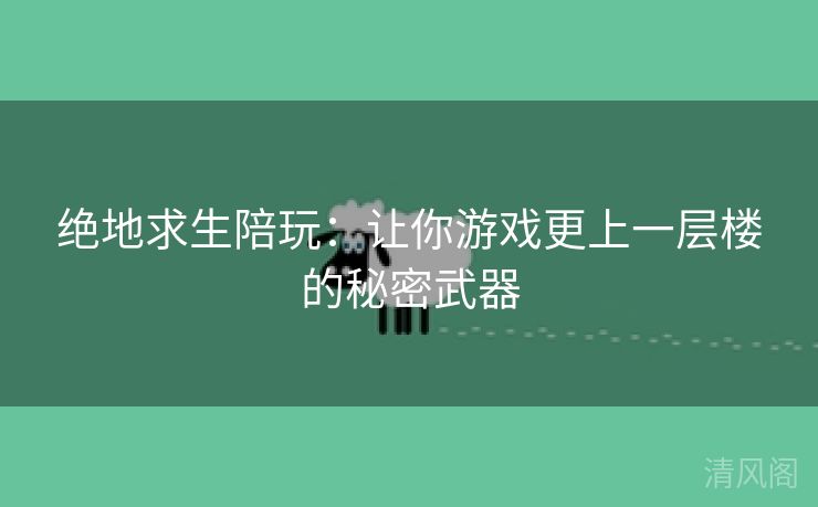 绝地求生陪玩：让你游戏更上一层楼秘密武器  第1张
