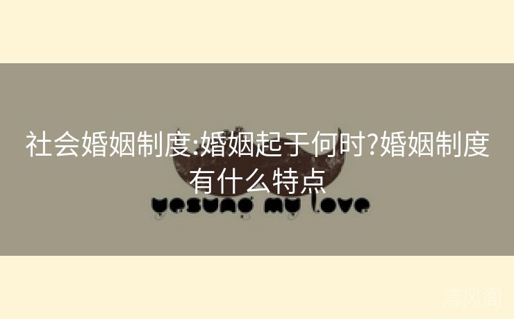 大众婚姻制度:婚姻起于何时?婚姻制度有什么特点 第1张