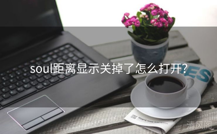 soul距离显示关掉怎么打开？  第3张