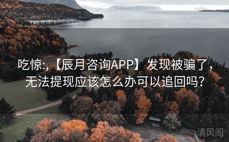 吃惊:,【辰月咨询APP】发现被骗,无法提现应该怎么办可以追回吗? 第3张