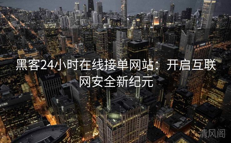 黑客24小时在线接单网站：开启互联网保险新纪元  第2张