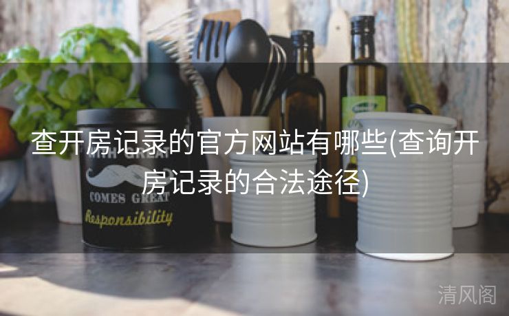 查开房记录官方网站有哪些〔查询开房记录合法途径〕  第1张